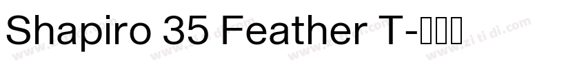 Shapiro 35 Feather T字体转换